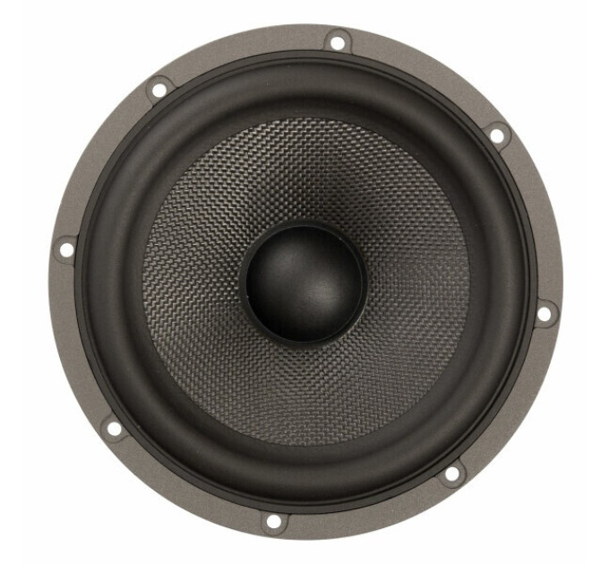 Акустика DLS ScandCase Active 2