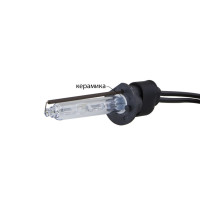 Ксенонова лампа Infolight H1 5000К +50%