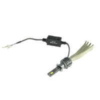 Світлодіодні лампи Cyclone LED H1 6000K type 36