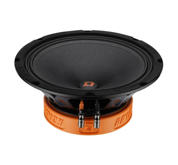 Акустика DL Audio Raven 200