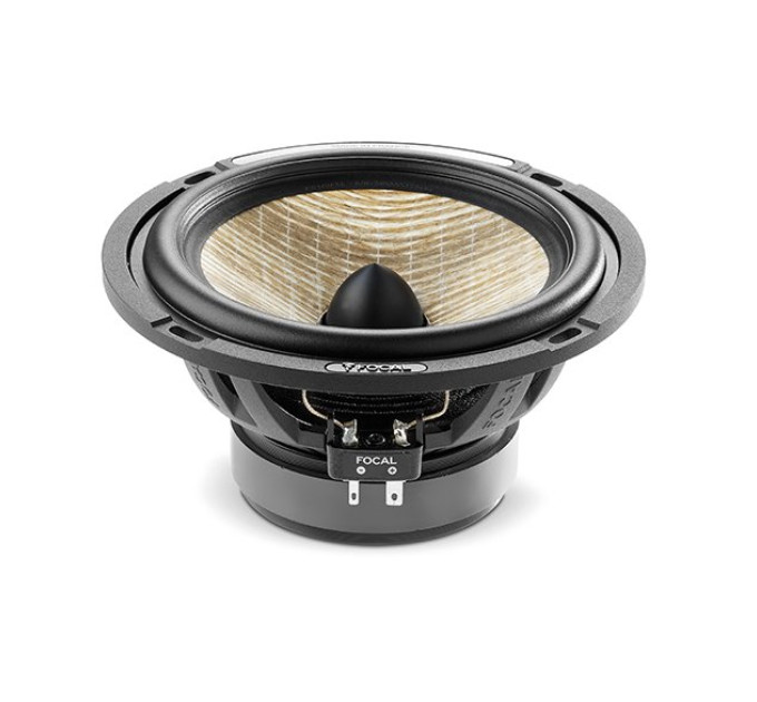 Акустика Focal Performance PS165FXE