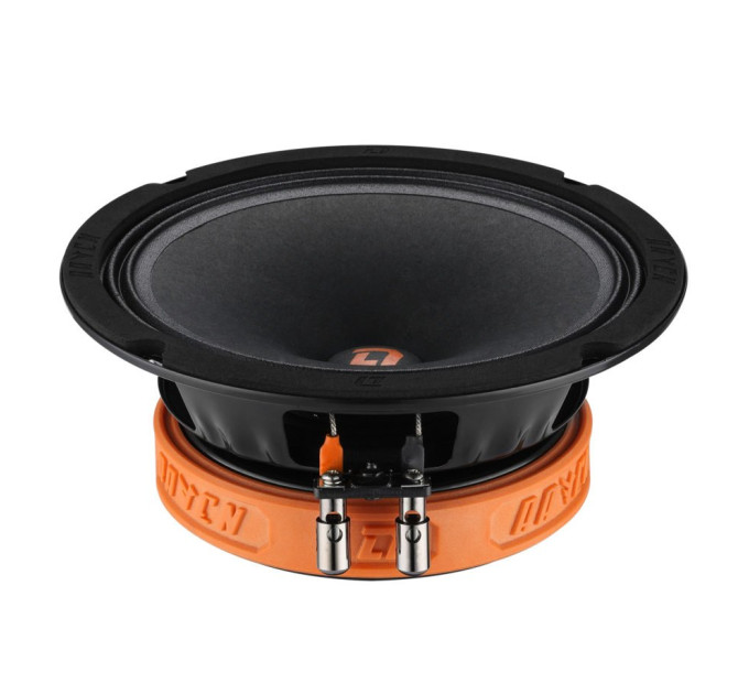 Акустика DL Audio Raven 165